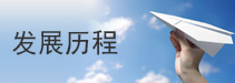 發展歷程